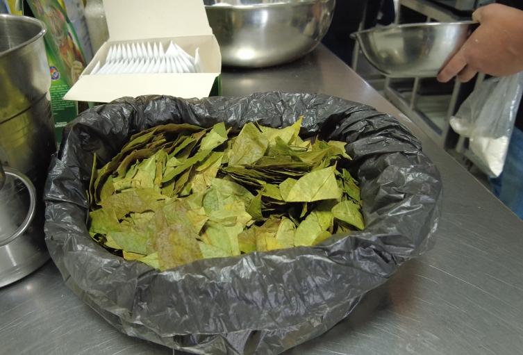 zonas cocaleras en el sur del Cauca, talleres de cocina del SENA
